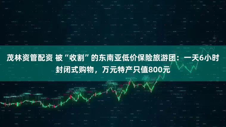 茂林资管配资 被“收割”的东南亚低价保险旅游团：一天6小时封闭式购物，万元特产只值800元